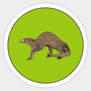 Philippine Pangolin Sticker